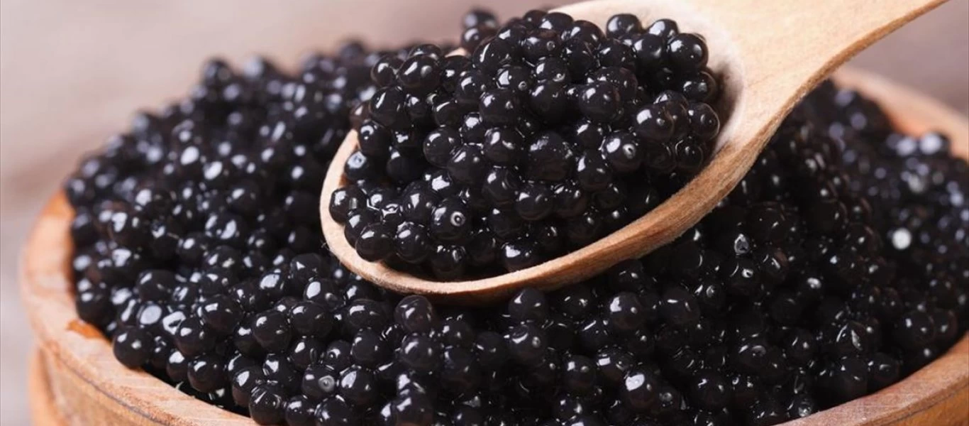 Γιατί το χαβιάρι είναι τόσο ακριβό; - Η τροφή πολυτελείας και οι λόγοι που την κάνουν τόσο ξεχωριστή (βίντεο)